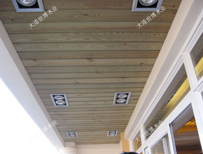 DBľI(y)ľ̼ľp12 cɷŴ