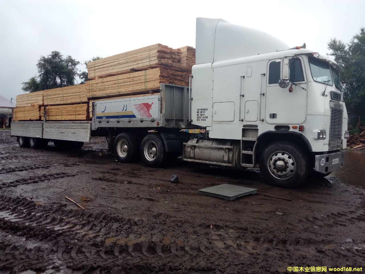 D؛(chng) c(din)ɷŴ