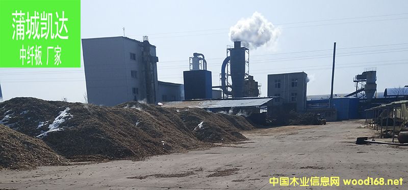 DP_(d)ľI(y)S c(din)ɷŴ