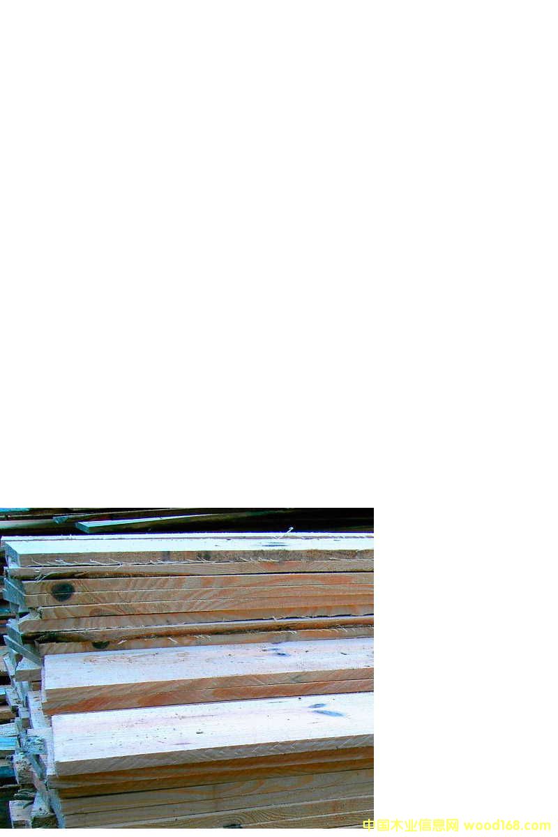 L(zhng)ڹ(yng)ľɼľĵԔ(x)B