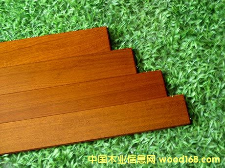 wƤ/հ(TAUARI)Ԕ(x)B