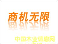 Sa(chn)I(y) ̙Co޵ԔB