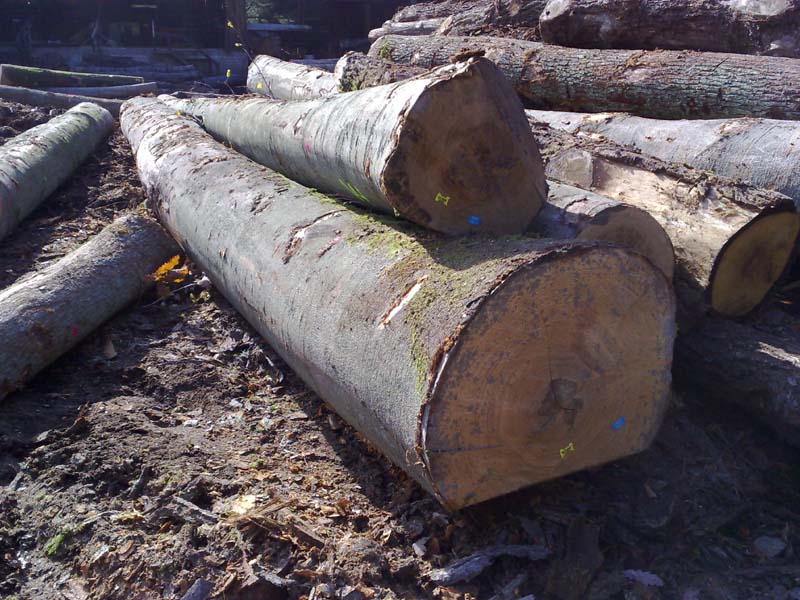 WޙľB/C(j)ԭľԔ(x)B