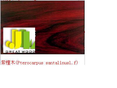 ̴ľ ̴t̴Ԕ(x)B