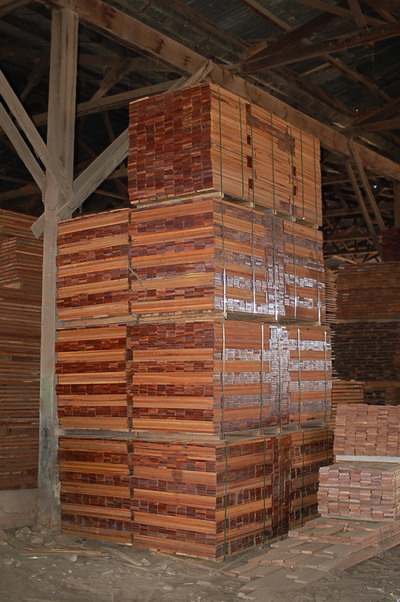 c(din)鿴tzľӺ͵ذŴDƬ