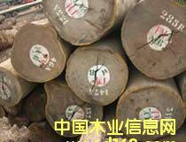 Ī(Afrormosia)Ԕ(x)B