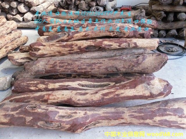 ̫}M(jn)R_(d)˹S̴/Fľ/̴M(jn)ڈ(bo)P(gun)