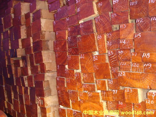 M(jn)ڸ߼(j)ľԔ(x)B