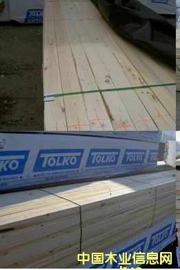 (yng)SPFɣtѩɣFɼɣȵ