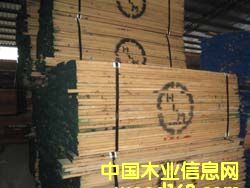 [] (yng)(gu)S4/4-16/4 fas 1.c 