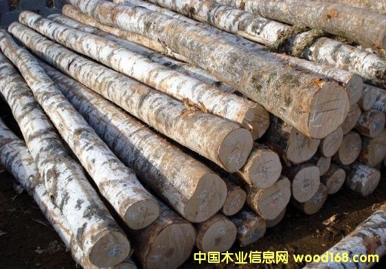 TIPA ֦܊ľ-S̴Ԕ(x)B