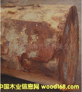 (yng)Sͩԭľ ľ  TRBU / EN