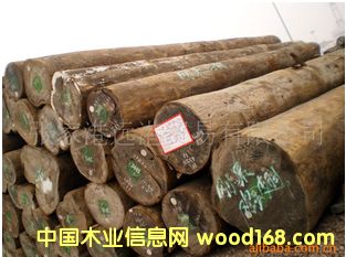 (yng)M¶ľ uľԭľ  ľwenge