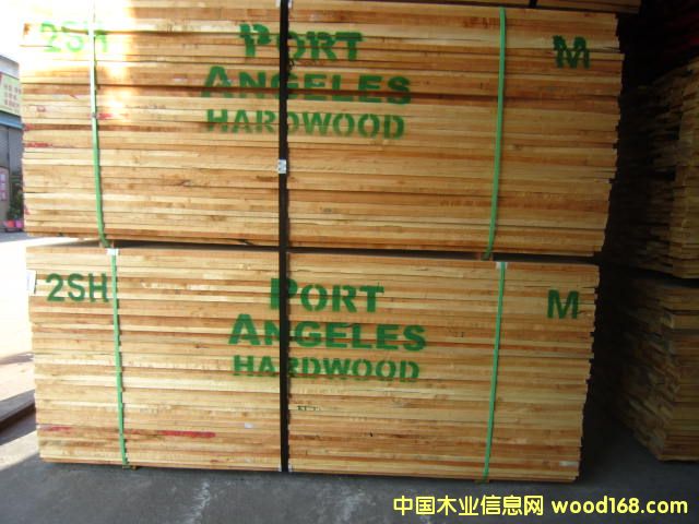 美國(guó)太平洋楓木