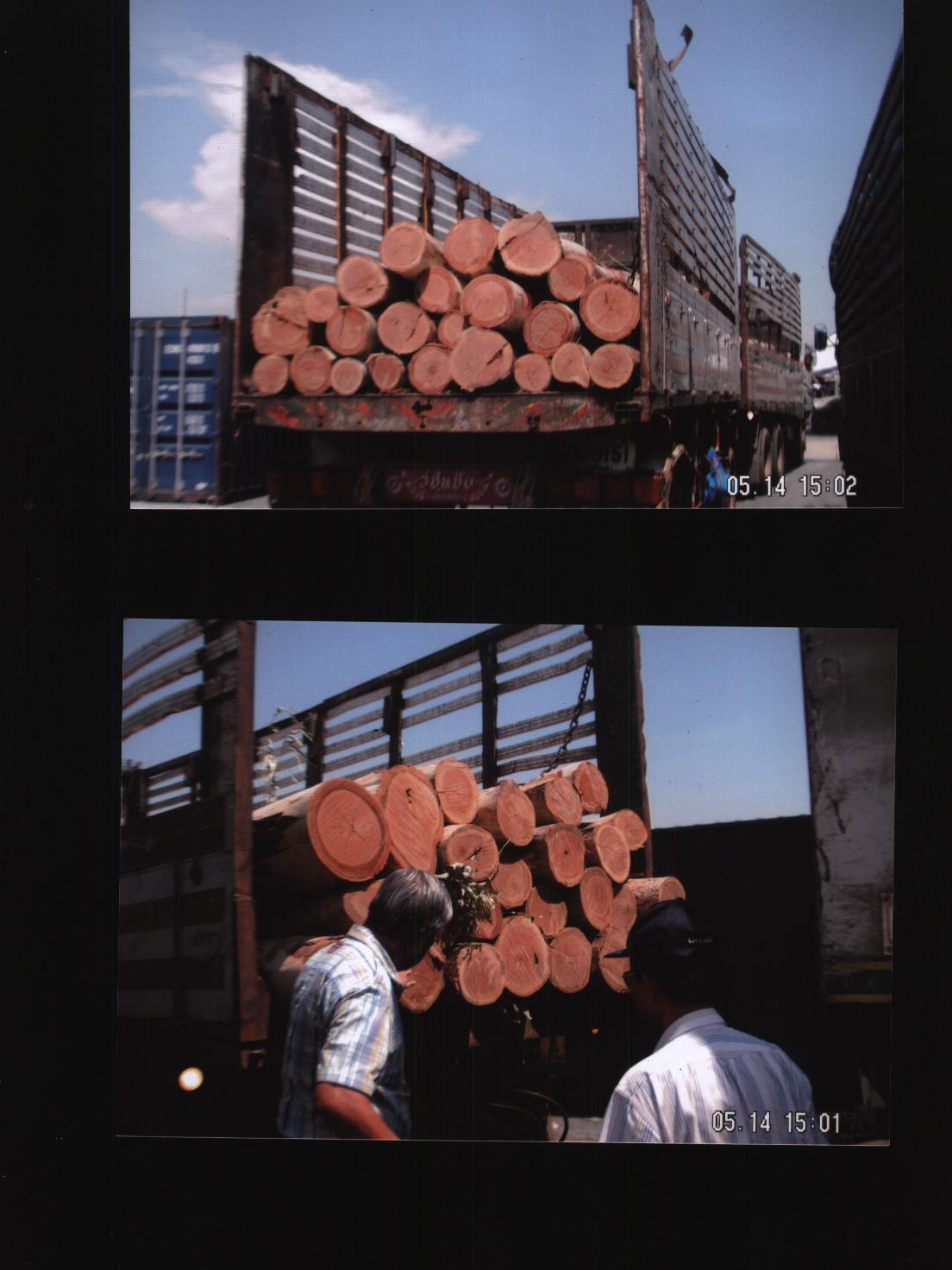 ̩(yu)|(zh)ԭľ(yng)ԔB