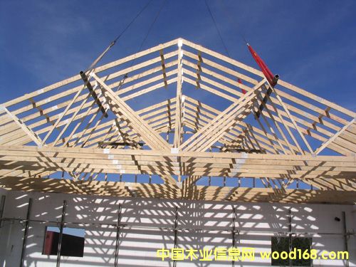 ݽÃ(yu)|(zh)ȫľlvl-ɽ|_(d)ľI(y)޹˾(yng)Ԕ(x)B