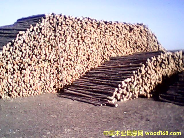 c鿴t ~  ܛӲs ŴDƬ