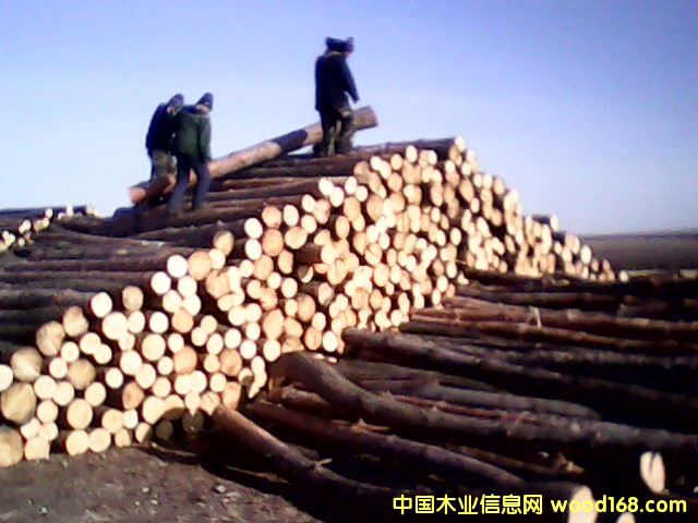 c鿴t ~  ܛӲs ŴDƬ