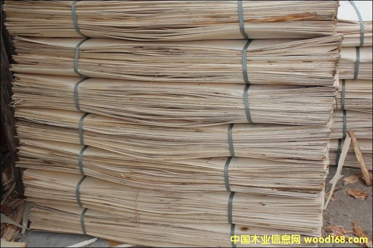 [] L(zhng)ڹ(yng)ľľƤ