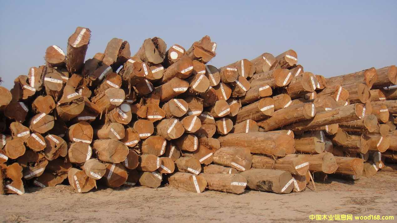 ϵľԭľľԭľԔB