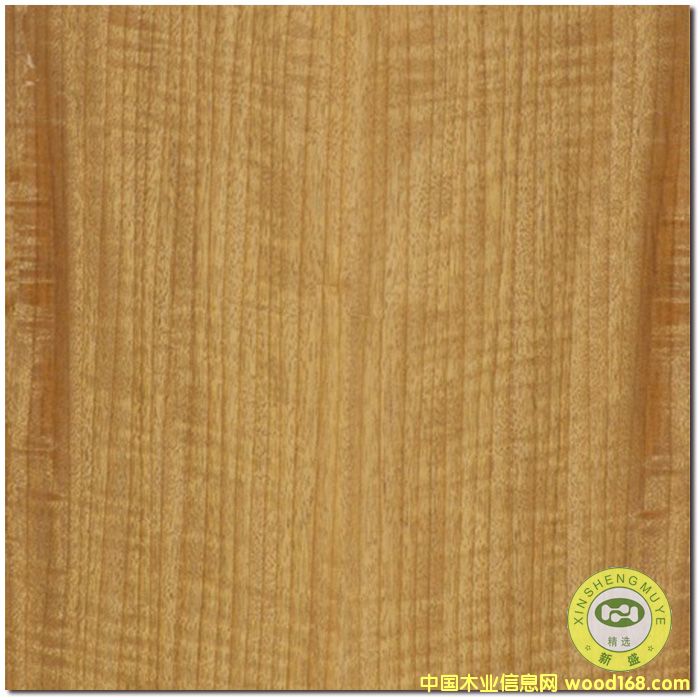 VʢȻӰ̩ľƤzϰԔ(x)B