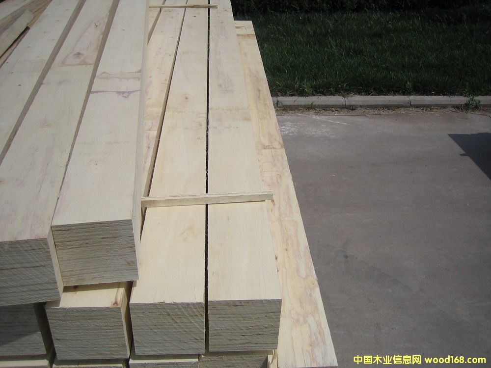 b늙CO(sh)ȫӰLVLԔB