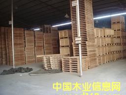 木托的詳細(xì)介紹