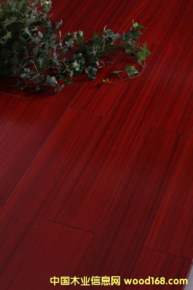 ·ƹ(yng)(yu)|(zh)ɳľ(f)ϵذԔB