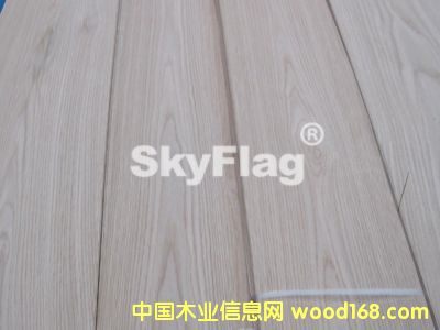 白橡的詳細(xì)介紹