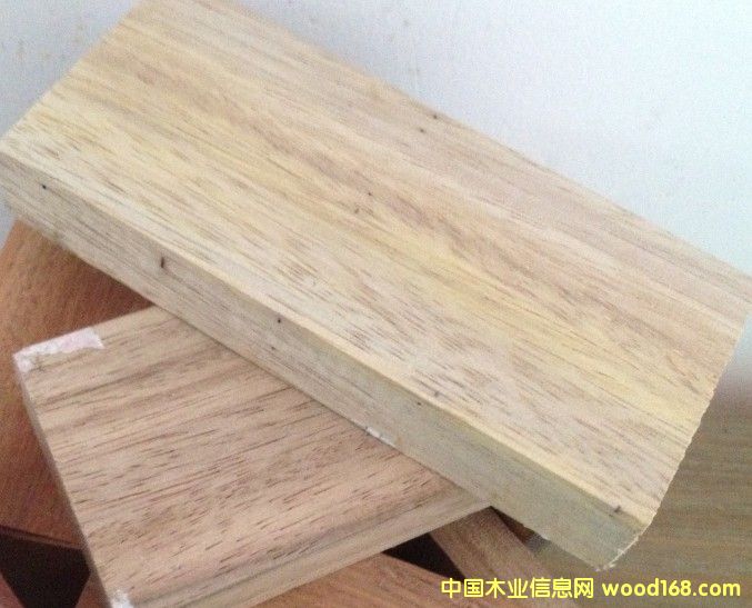 欖仁木的詳細(xì)介紹