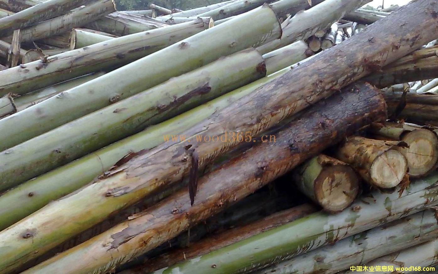 ?j)?yu)|(zh)(sh)ԭľ2β6CM𣩵Ԕ(x)B