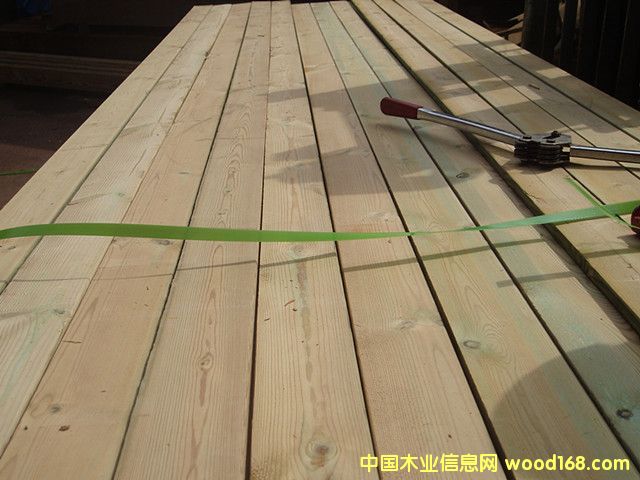 樟子松的詳細(xì)介紹