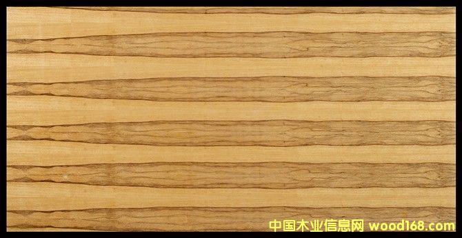 淋巴的詳細介紹