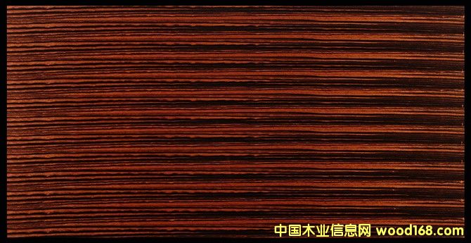 黑檀的詳細介紹