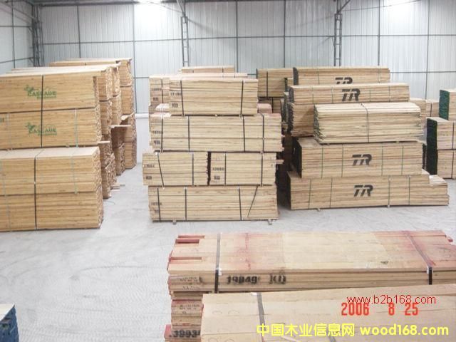 白橡的詳細介紹