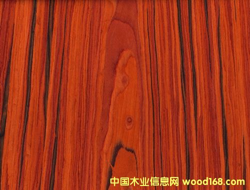 紅酸枝的詳細(xì)介紹