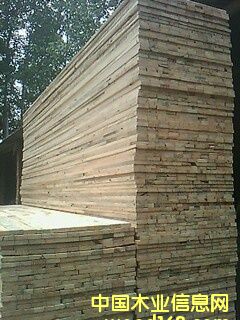 松木的詳細(xì)介紹