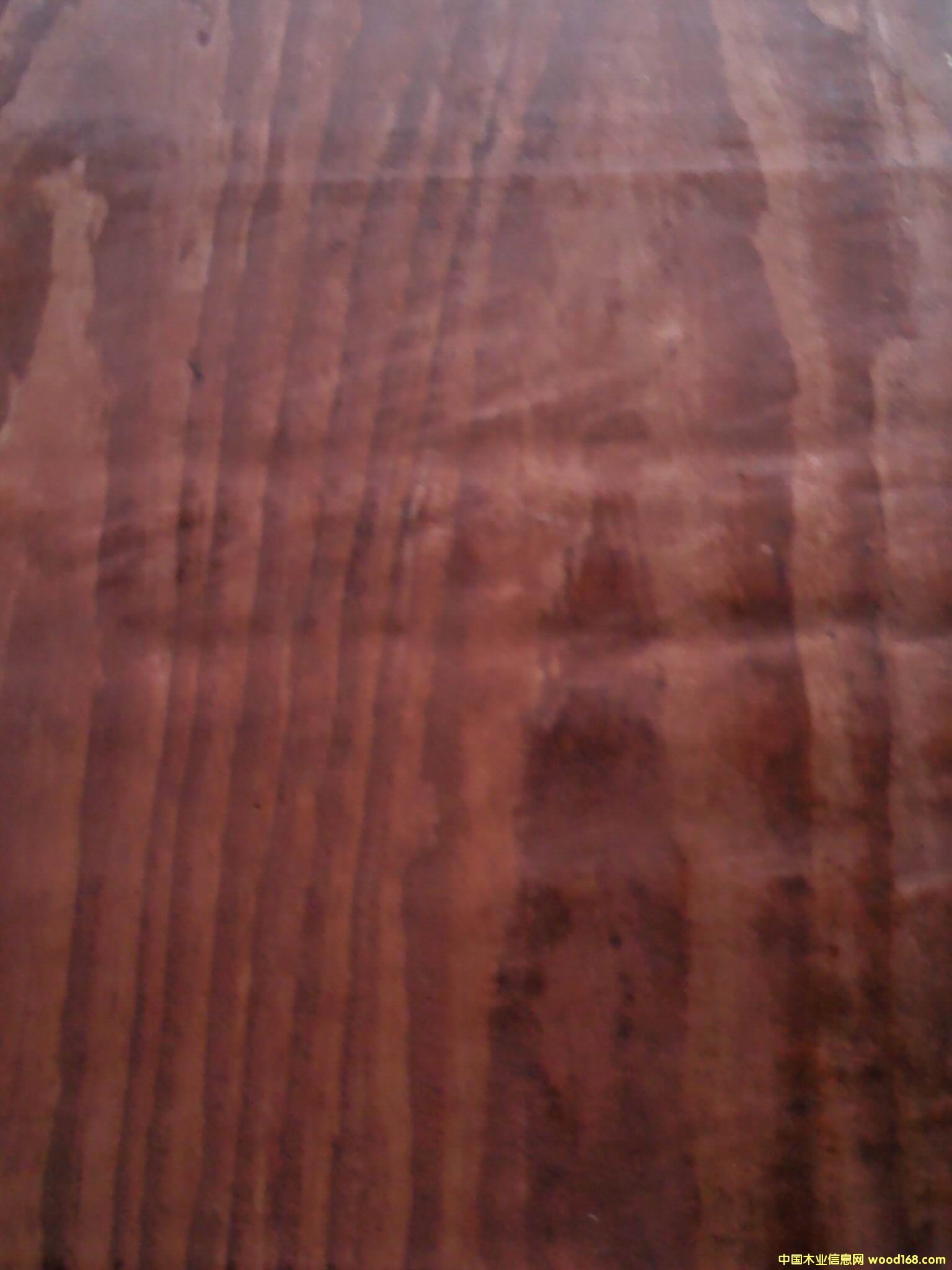 (gu)a(chn)tɫģԔ(x)B