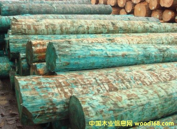 原木的詳細(xì)介紹