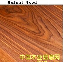 胡桃木的詳細(xì)介紹