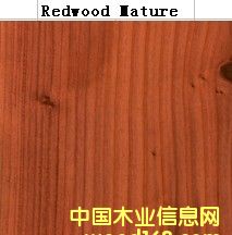 Red Wood MatureԔ(x)B