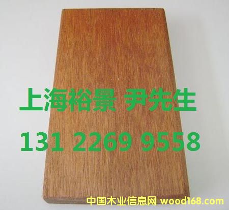 山樟木的詳細介紹