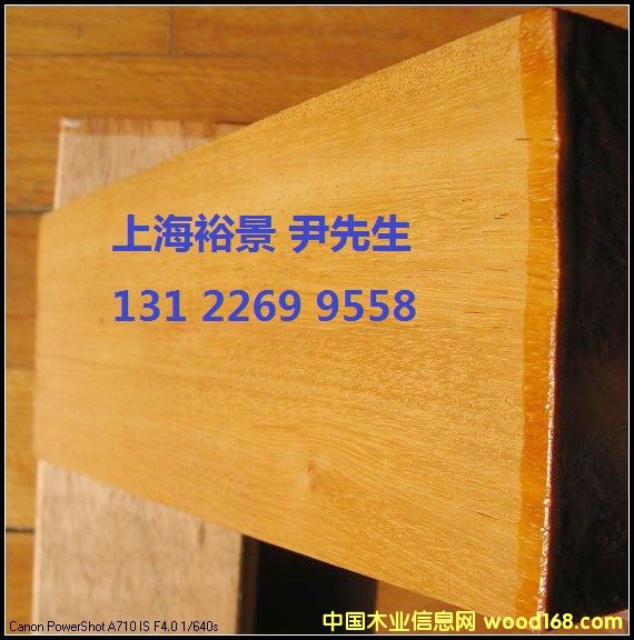 巴蒂木的詳細介紹