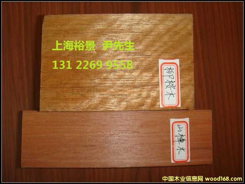 柳桉木的詳細介紹