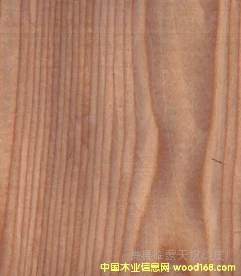 膠合板的詳細(xì)介紹