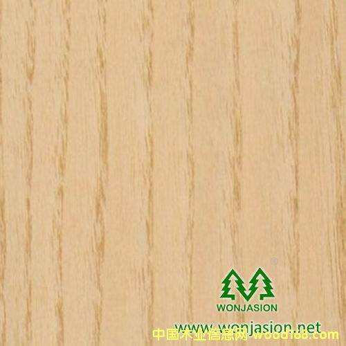 白栓的詳細(xì)介紹