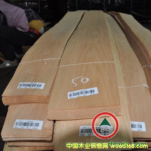 櫻桃的詳細(xì)介紹