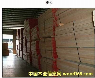 櫸木的詳細介紹