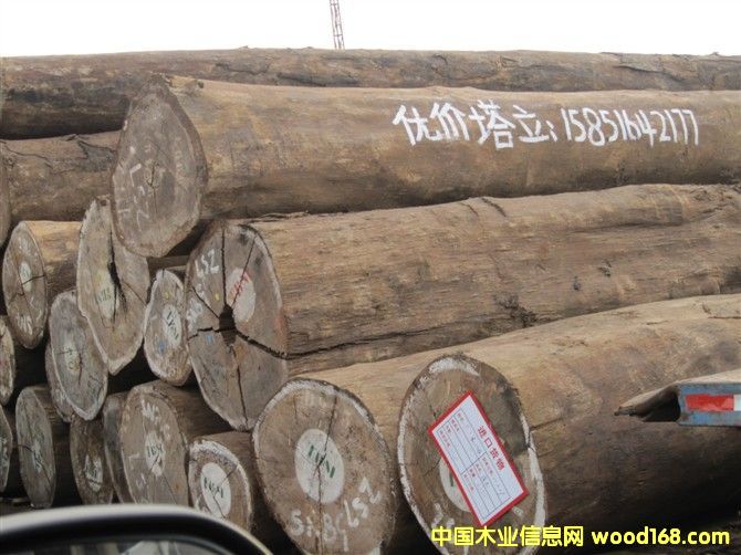 塔立的詳細(xì)介紹