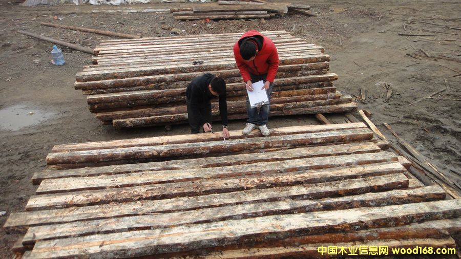 半原木的詳細(xì)介紹